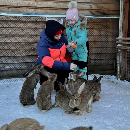 Индивидуальный джип-выезд по Кольскому с поисками китов, знакомством с саамами и катанием на оленях