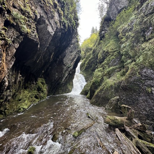 Телецкое озеро: водопады, гроты и заповедная тайга