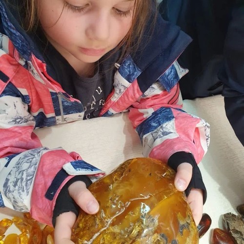 Новые грани Калининграда: необычные экскурсии и нетуристические маршруты