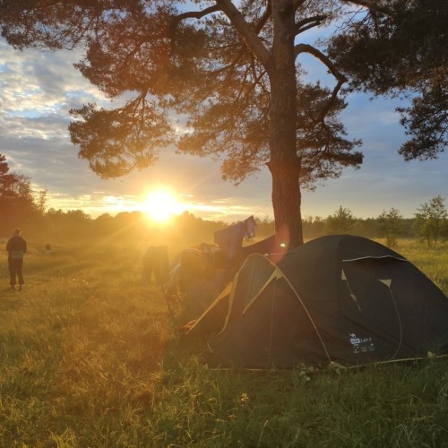 Детокс на Тверце: сплав на байдарках с посещением Торжка и «Василёво»