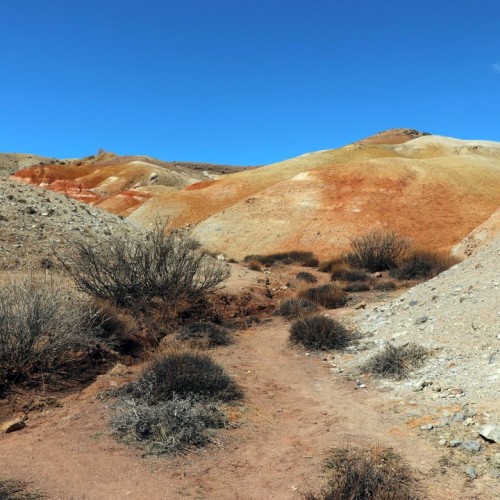 Топовые места Алтая в мини-группе: Гейзерное озеро, Чуйский тракт, долина Горных духов и Патмос