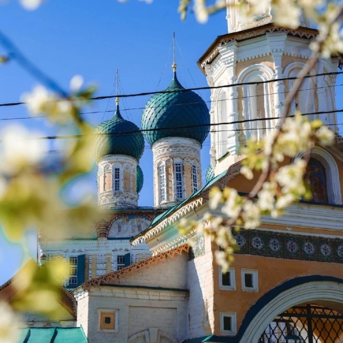 Визитные карточки Тутаева