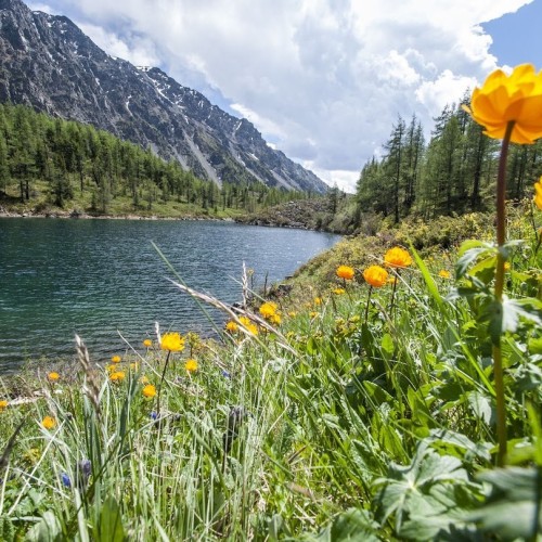 Активный Алтай: треккинг, конные прогулки и Чуйский тракт