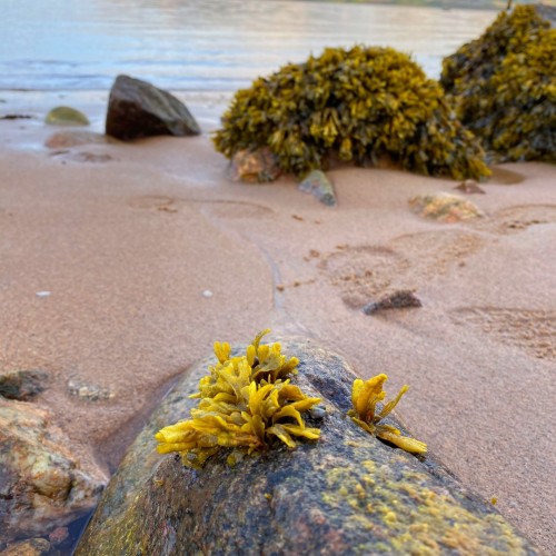 Горы и водопады Севера: тур на Кольский полуостров в мини-группе