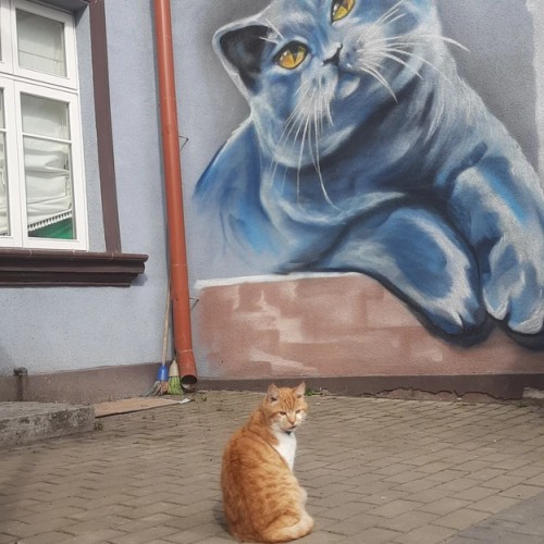Из Калининграда — на Куршскую косу и в Зеленоградск