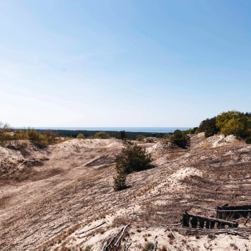 Море, котики, курорты: главное в Калининградской области