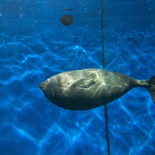 В гости к дедушке Байкалу! Автобусный тур по главным местам: Листвянка, КБЖД и прогулка на катере