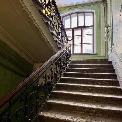 Петроградка: живая и уютная