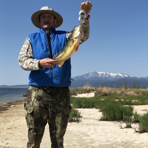 За трофеями на Байкал с местными: рыбалка с катера, катамарана и на реках