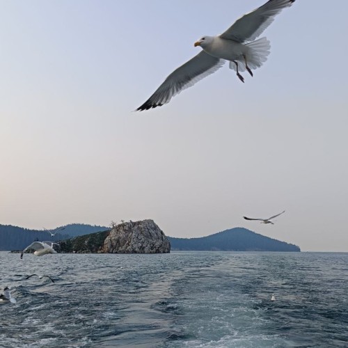 Природа и места силы Байкала с погружением в культуру: Ольхон и Бурятия (всё включено)