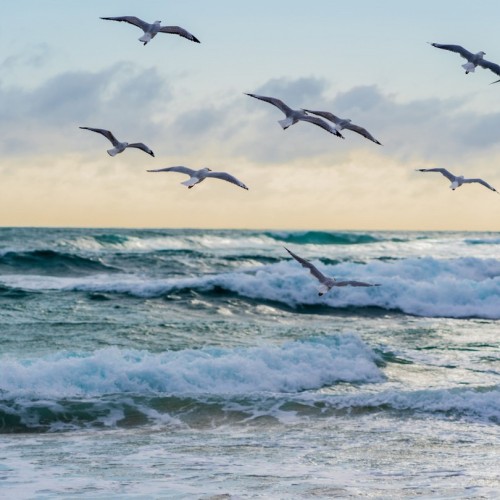 Острова с сокровищами: Сахалин, Итуруп, Кунашир