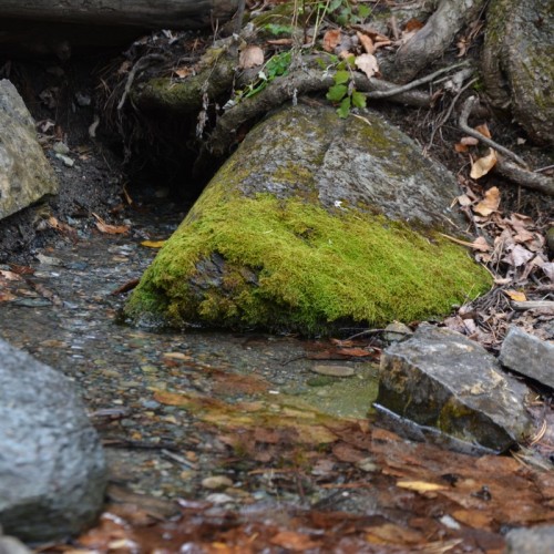Красота Алтая: Чемальский район и Чуйский тракт