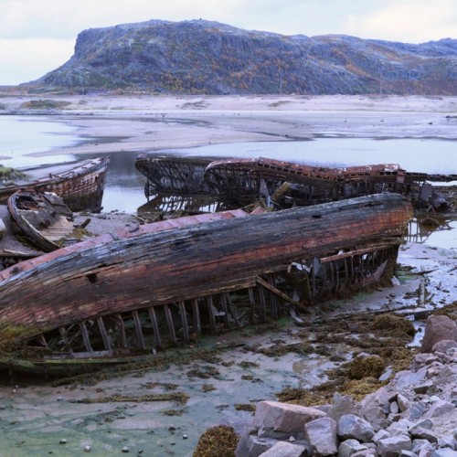 Очарование Севера: этнодеревня, Териберка и столица Арктики в мини-группе