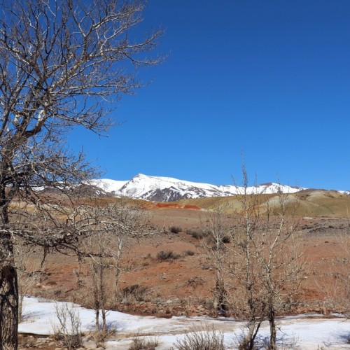 Тур по главным и редким местам Алтая на УАЗах: Чуйский тракт, горы, урочища, озёра и скалы