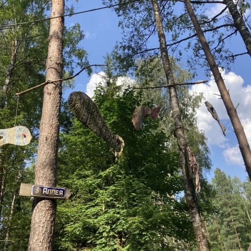 Лесная сторона Комарово: от дач до «будки» Ахматовой