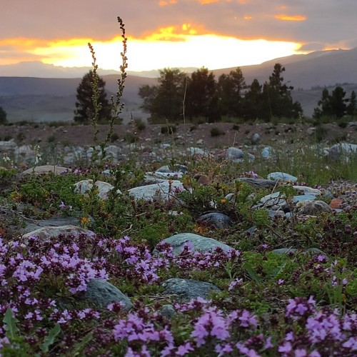 Перезагрузка на Алтае: топ локаций, заповедное озеро и моторафтинг по Катуни