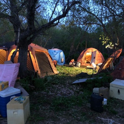 Рыбалка на Камчатке: ловим королевского лосося на реке Большой