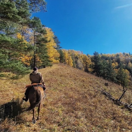 Конный тур для новичков по осеннему Алтаю с проживанием на базе. Всё включено