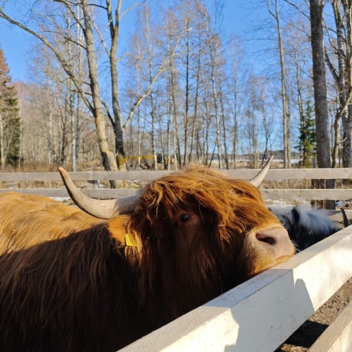 Уик-энд в Выборге с дегустациями, увлекательными историями и посещением Монрепо (мини-группа)