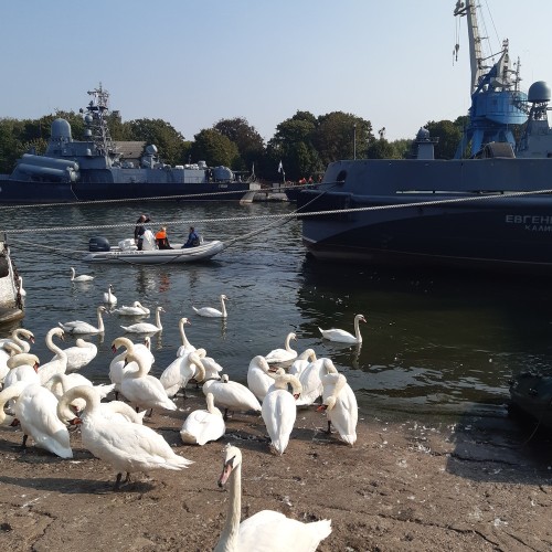 Балтийск, Янтарный, Светлогорск — три облика Балтики