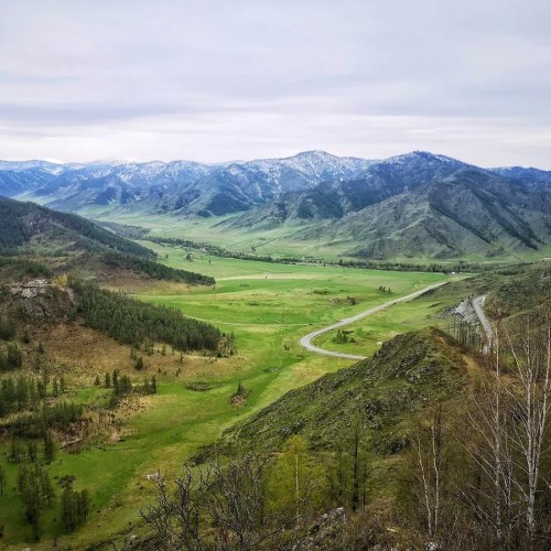 Два дня с инопланетным Алтаем: Чуйский тракт, Гейзеровое озеро и марсианские горы