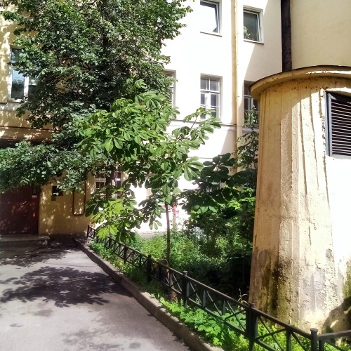 Петербург в блокадных дневниках