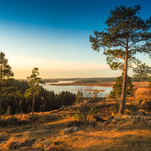 Перезагрузка в Карелии: йога, прогулки на природе и главные места (из Санкт-Петербурга)
