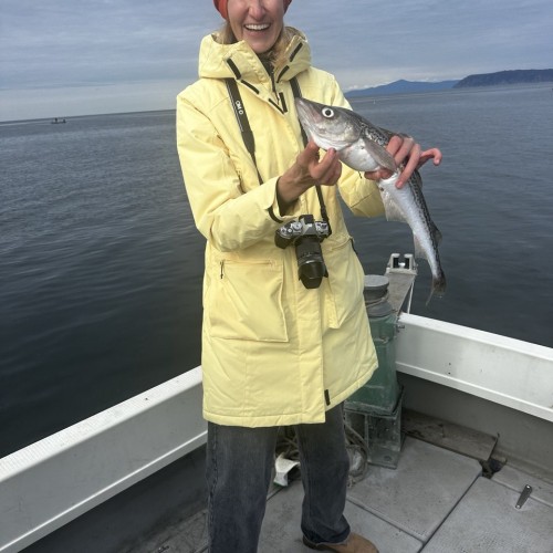 Колымские приключения: Магадан и окрестности в формате «всё включено»