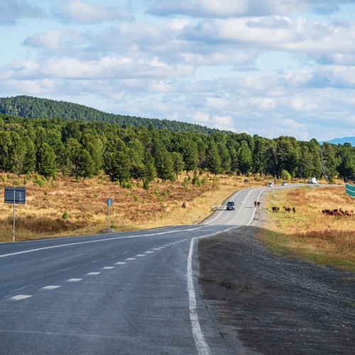 Зачемалье: автопутешествие в горный край с рафтингом и конной прогулкой