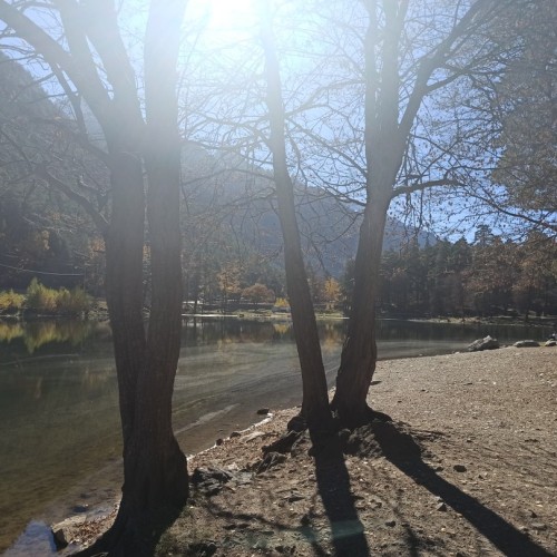 Домбай: экскурсии и походы по заповедным местам