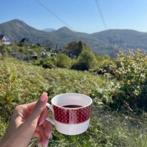 В гости к друиду: выходные в горной долине Шахе (мини-группа)