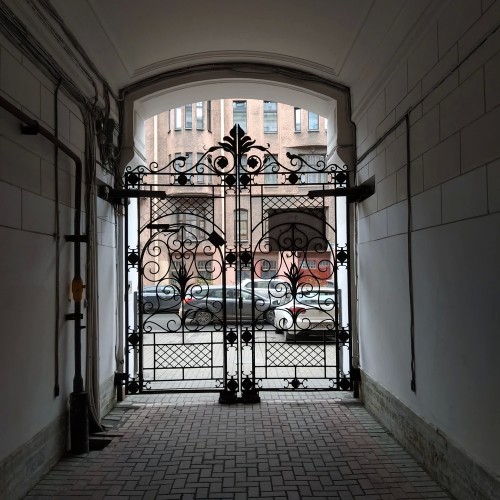 По Васильевскому с островитянином!