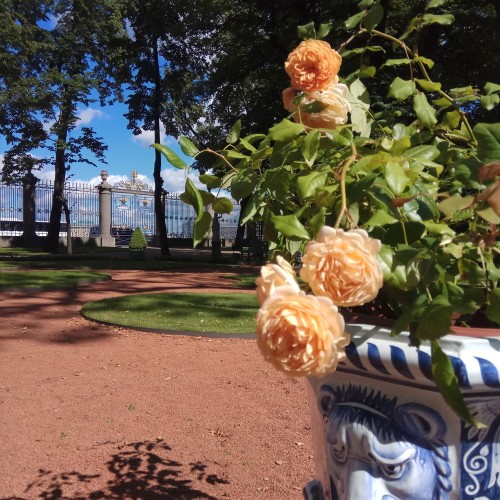 Романтика Фонтанки