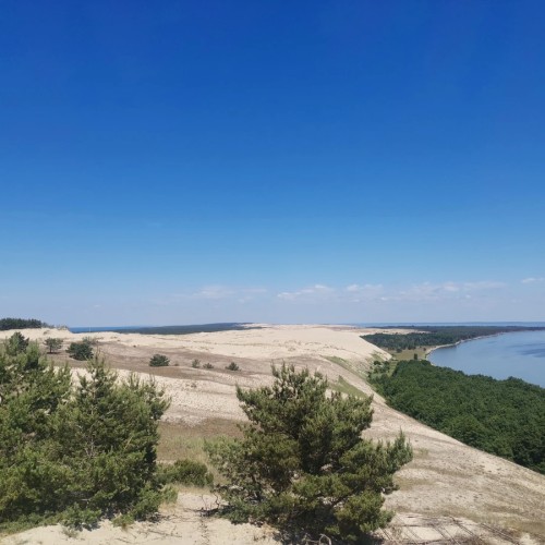 Великолепная Куршская коса и очаровательный Зеленоградск из Светлогорска