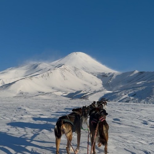 Камчатские удовольствия в мини-группе: природа, погружение в культуру и релакс в источниках