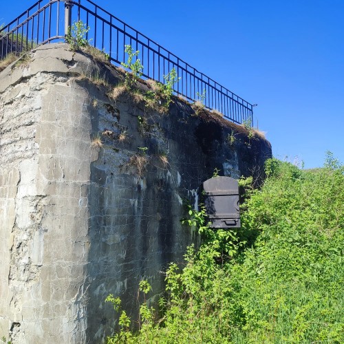 Экскурсия 3 в 1: Кронштадт + батарея Демидов + заказник Западный Котлин