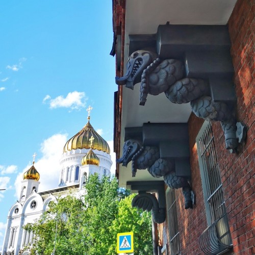 За спиной великих: по следам московских коллекционеров