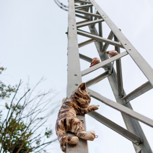 На майские в город кошек: выходные в Зеленоградске с прогулкой по Калининграду и Кушской косе