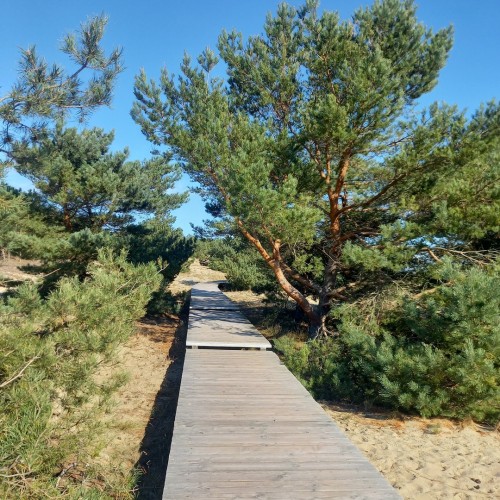 Тур-знакомство с Калининградом и окрестностями: Светлогорск, Зеленоградск, Янтарный и Балтийск