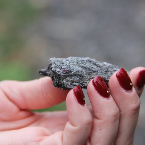 Дом у озера: отдых на берегу Ладоги и экскурсии