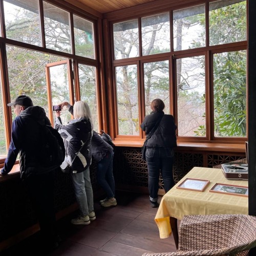 Вкусы черноморского побережья: винное путешествие по Сочи, Новороссийску, Геленджику, Анапе и Тамани