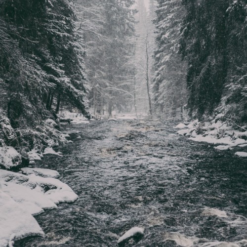 В экопарк «Долина водопадов» и музей «Кирьяж» — из Петербурга