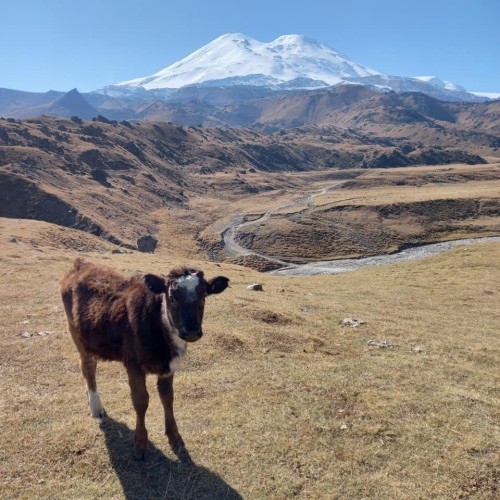 Главное на Домбае и в Кабардино-Балкарии и свободный день в Кисловодске
