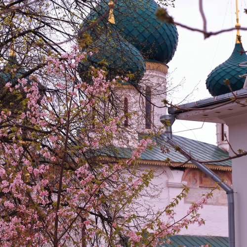 Ярославль — первое знакомство