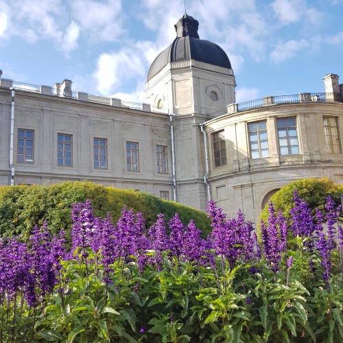 Гатчина: жизнь и любовь сквозь столетия