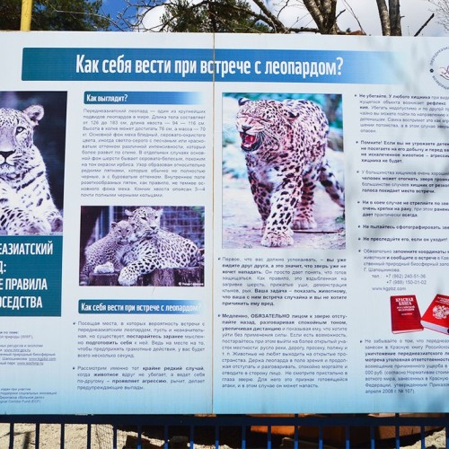 Треккинг в Цейском ущелье налегке с проживанием в гостинице (всё включено)