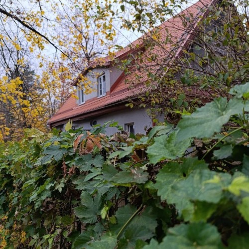 Отпуск у Балтийского моря: Зеленоградск и топовые места области