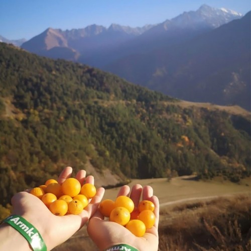 Треккинг налегке по Ингушетии: святилища, башенные комплексы и гора с герба Владикавказа