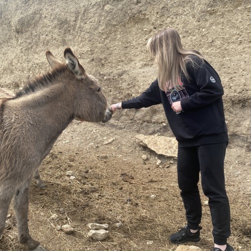 Ни в чём себе не отказывать в Дагестане: джип-путешествие по знаковым локациям