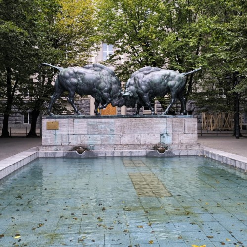 Влюбиться в Калининград